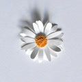 Magnet fleur blanche