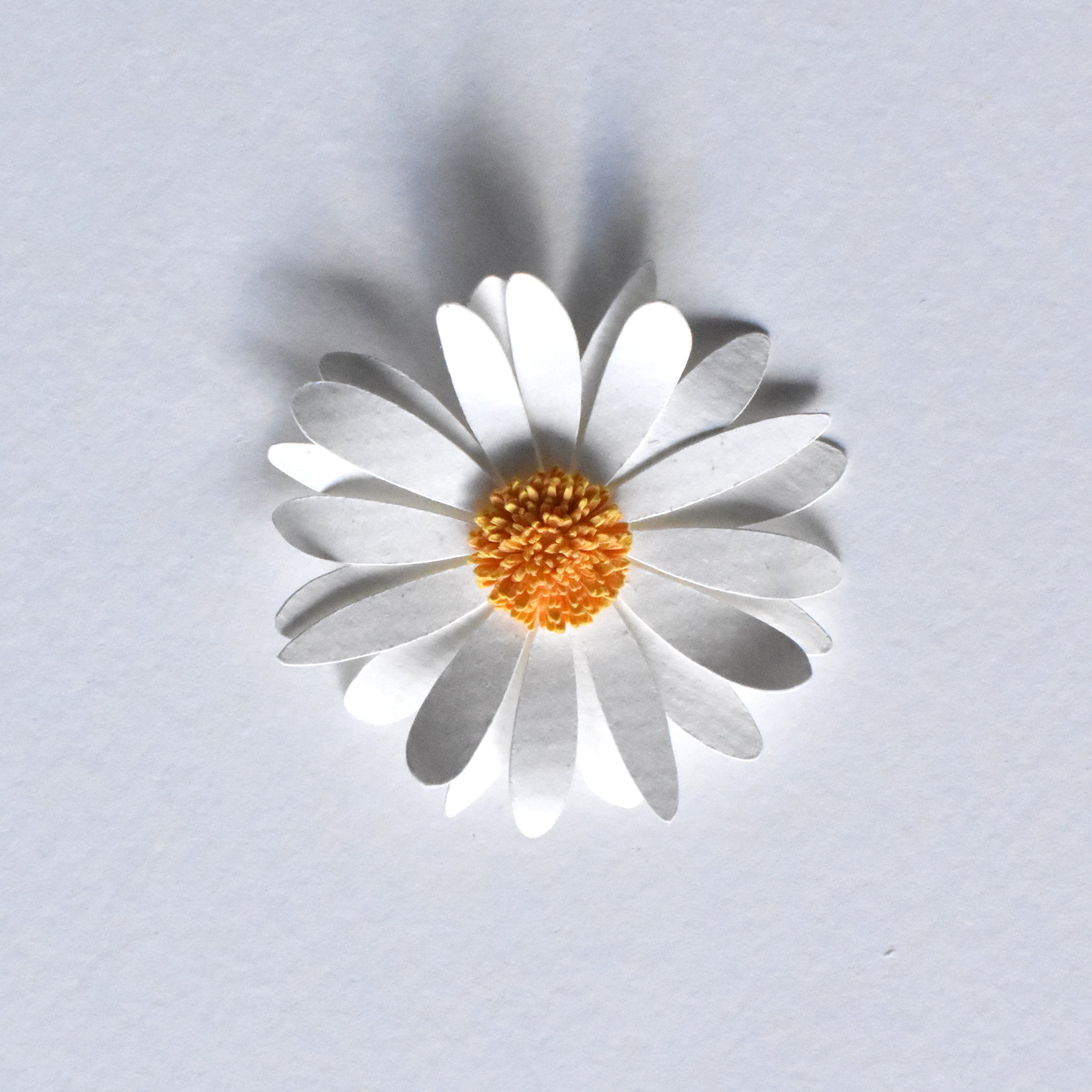 Magnet fleur blanche